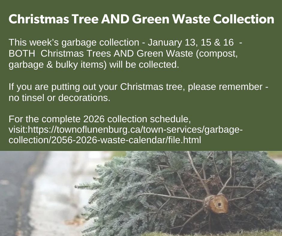 Christmas Tree Collection