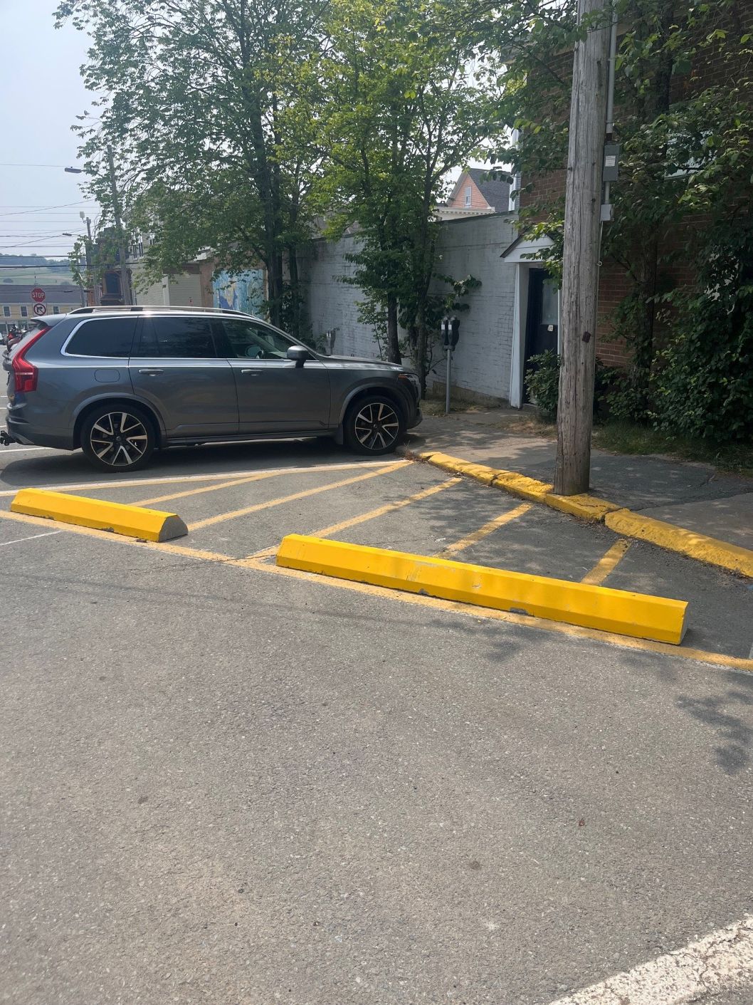 Yellow Bumpers 1