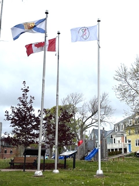 AAW Flag