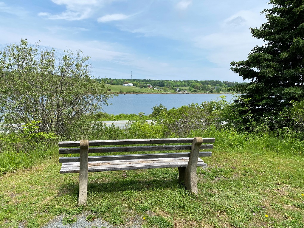 Back Harbour Trail 2021 2