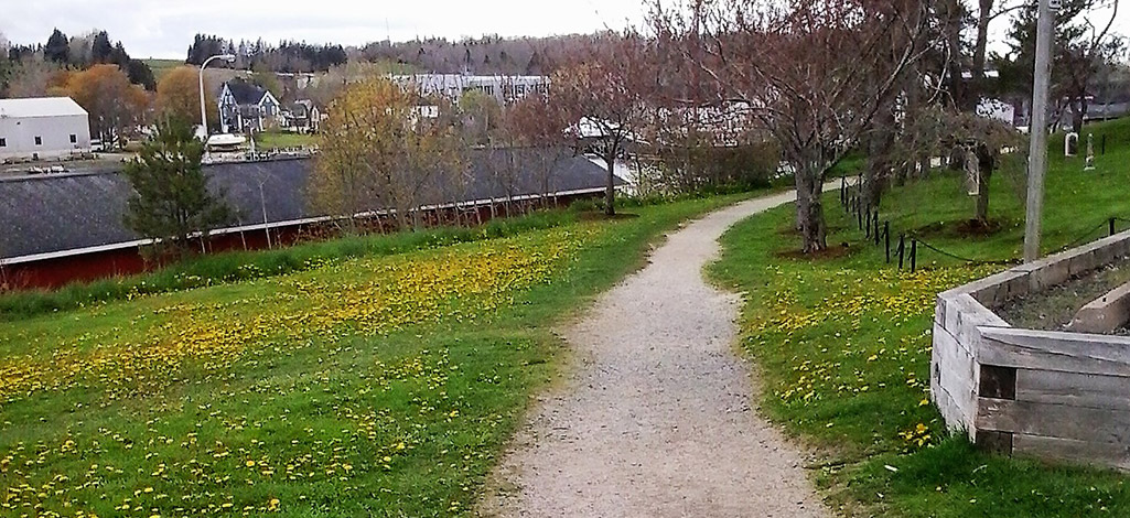 Front Harbout Trail